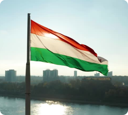 Identify Visa Pathway Type & Qualification